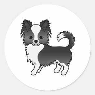 Sticker Rond Chihuahua à manteau long noir et blanc Chien migno