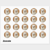 Sticker Rond Chihuahua blanc (Feuille)