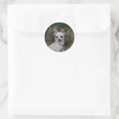 Sticker Rond Chihuahua blanc (Sac)