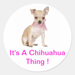 Sticker Rond Chihuahua C'est un Chihuahua