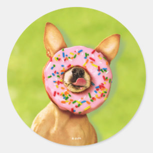 Sticker Rond Chihuahua Chig drôle avec saupoudrer la beigne sur