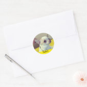 Sticker Rond Chihuahua chiot  (Enveloppe)