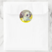 Sticker Rond Chihuahua chiot  (Sac)