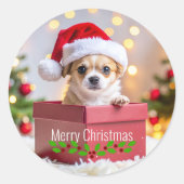 Sticker Rond Chihuahua chiot Noël (Devant)