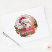 Sticker Rond Chihuahua chiot Noël (Enveloppe)