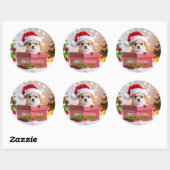 Sticker Rond Chihuahua chiot Noël (Feuille)