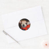 STICKER ROND CHIHUAHUA DIT FROMAGE ! (Enveloppe)