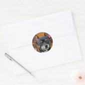 Sticker Rond Chihuahua Isabella Crescent Moon (Enveloppe)