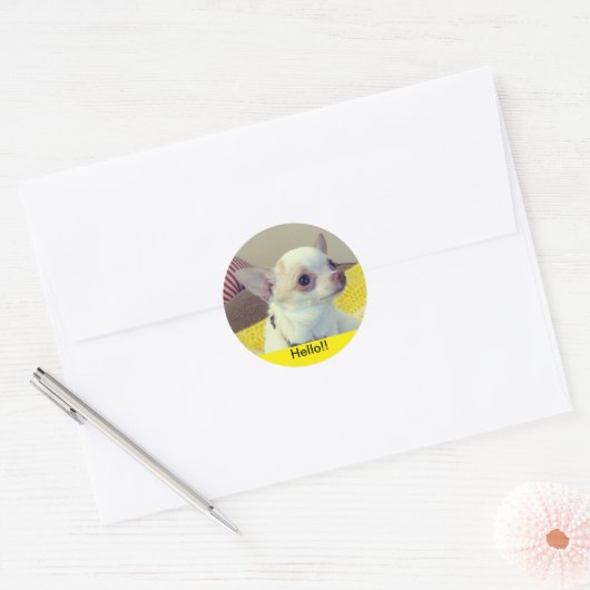 Sticker Rond Chihuahua Puppy  (Enveloppe)