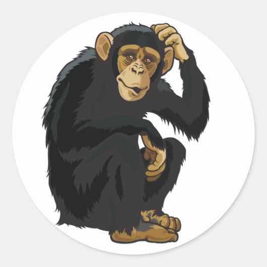 Sticker Rond chimpanzé (Devant)