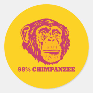 Sticker Rond Chimpanzé de 98%