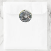 STICKER ROND CHIMPANZÉS CUITS (Sac)