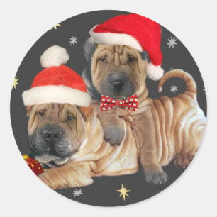 Sticker Rond Chinois Shar-pei d'un Joyeux cadeaux Noël