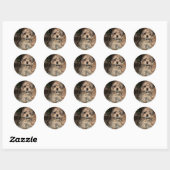 Sticker Rond Chiot à courte distance (Feuille)