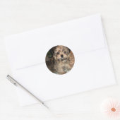 Sticker Rond Chiot à courte distance (Enveloppe)