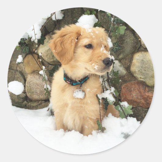 Sticker Rond Chiot à neige (Devant)