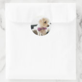 Sticker Rond Chiot avec une Cravate à mâchoires (Sac)