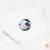 Sticker Rond Chiot blanc Pitbull pour bébé modifiable (Enveloppe)