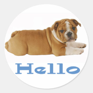 Sticker Rond Chiot Bouledogue Anglais ticker / Sceau