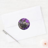 Sticker Rond Chiot Bouledogue Français (Enveloppe)