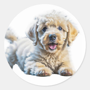 Sticker Rond Chiot de caniche
