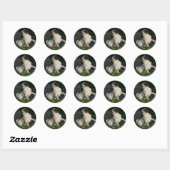 Sticker Rond Chiot de carlin de faon (Feuille)