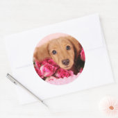 Sticker Rond Chiot de Dachshund Entouré de Roses (Enveloppe)