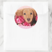 Sticker Rond Chiot de Dachshund Entouré de Roses (Sac)