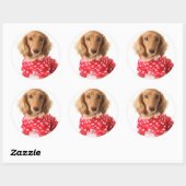 Sticker Rond Chiot de Dachshund portant l'tenue de Saint Valent (Feuille)