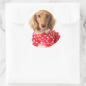 Sticker Rond Chiot de Dachshund portant l'tenue de Saint Valent (Sac)