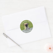 Sticker Rond Chiot fait sur commande de carlin (Enveloppe)