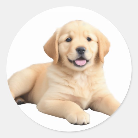 Sticker Rond Chiot Golden Retriever (Devant)