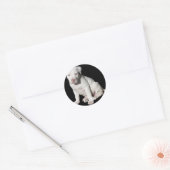 Sticker Rond Chiot Pitbull blanc bébé (Enveloppe)