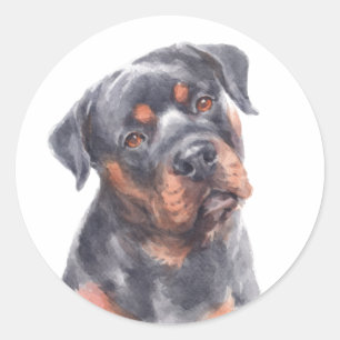 Sticker Rond Chiot Rottweiler aquarelle mignon