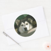 Sticker Rond Chiot triste (Enveloppe)