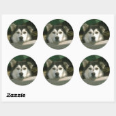 Sticker Rond Chiot triste (Feuille)
