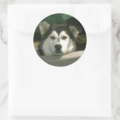Sticker Rond Chiot triste (Sac)