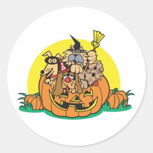 Sticker Rond chiots dans un citrouille (Devant)