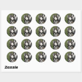 Sticker Rond Chiots de Boston Terrier (Feuille)
