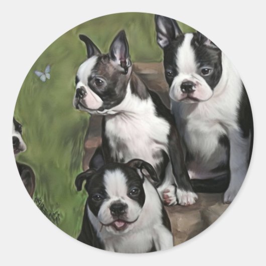 Sticker Rond Chiots de Boston Terrier (Devant)