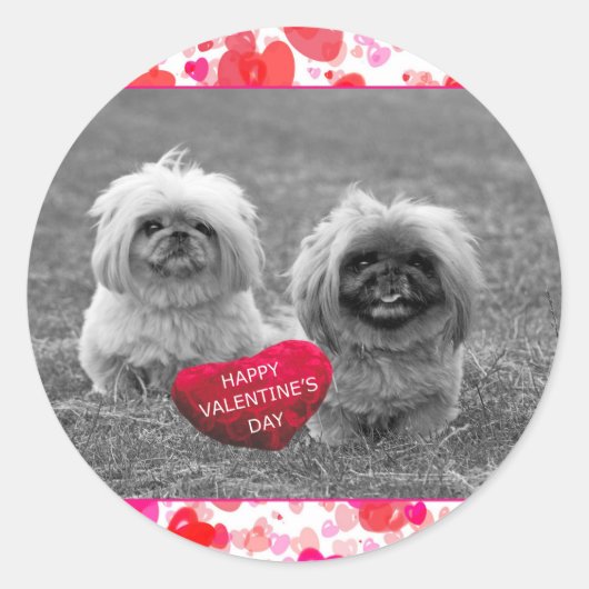 Sticker Rond Chiots Pekingese souhaitant Heureuse Sainte-Valent (Devant)