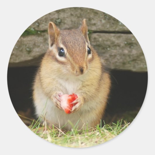 Sticker Rond chipmund bébé avec fraise (Devant)