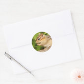 Sticker Rond chipmunk doux avec snack (Enveloppe)
