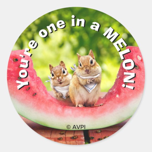 Sticker Rond Chipmunks mangeant de la pastèque (Devant)