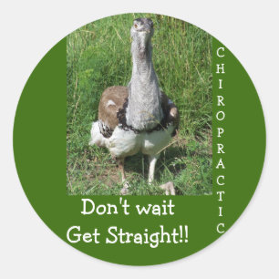 STICKER ROND CHIROPRACTIE