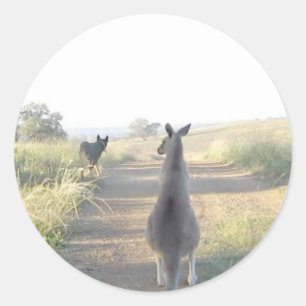 Sticker Rond Chloe le kangourou Sam le chien de berger