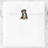 Sticker Rond Chocolat Brown & Blanc Havanais Chien Chien Chien  (Sac)