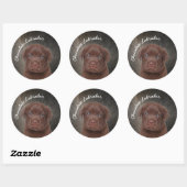 Sticker Rond Chocolat Labrador (Feuille)