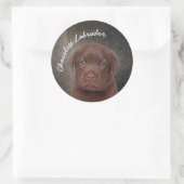 Sticker Rond Chocolat Labrador (Sac)