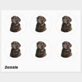 Sticker Rond Chocolate Labrador dog photo (Feuille)